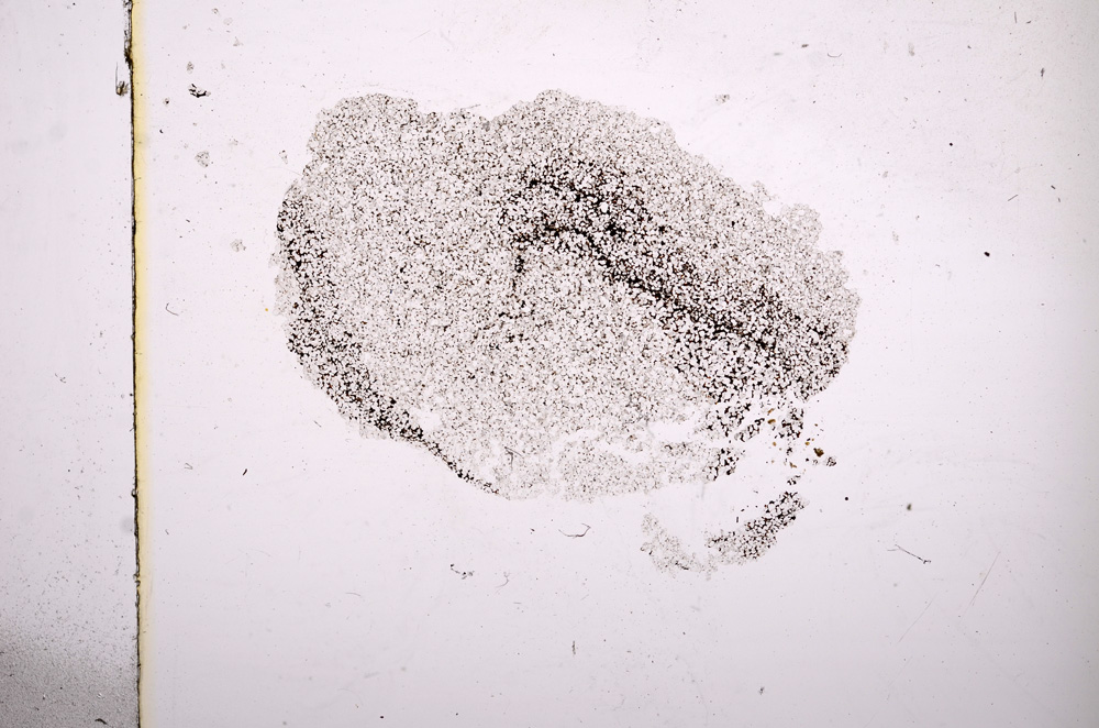 Plane Polarized, E11541