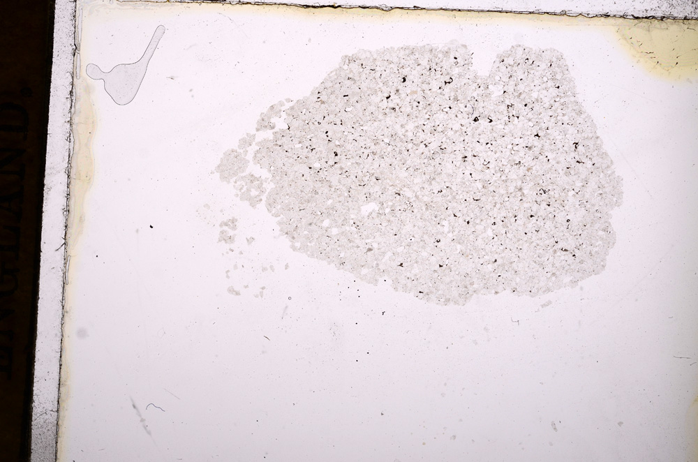 Plane Polarized, E11545
