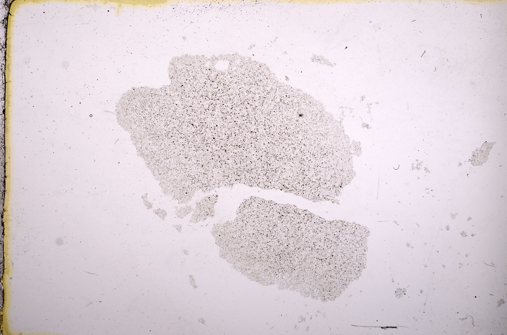 Plane Polarized, E11547
