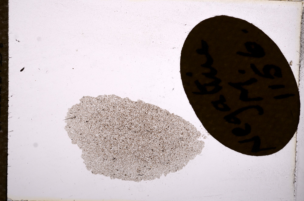Plane Polarized, E11551
