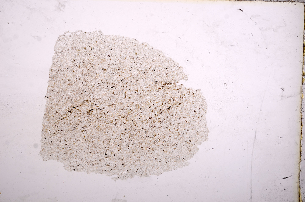 Plane Polarized, E11554