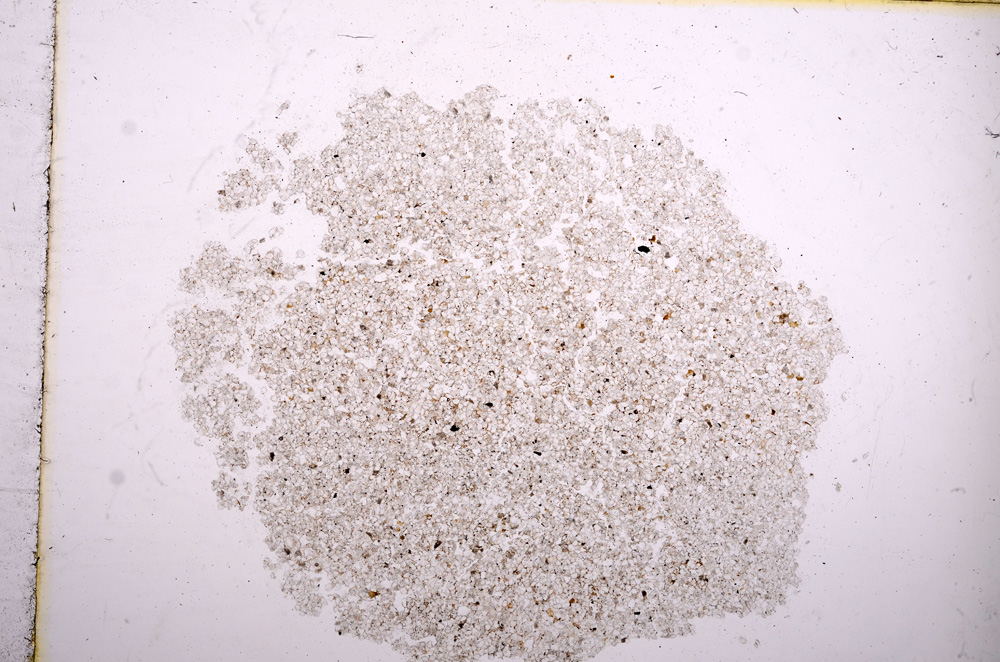 Plane Polarized, E11564