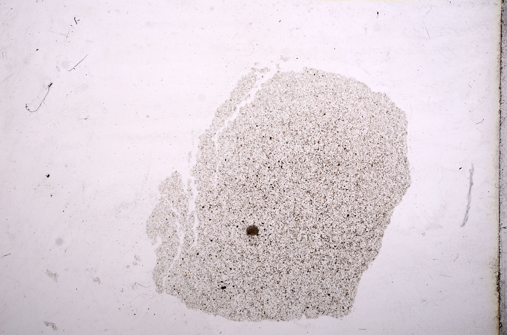 Plane Polarized, E11566