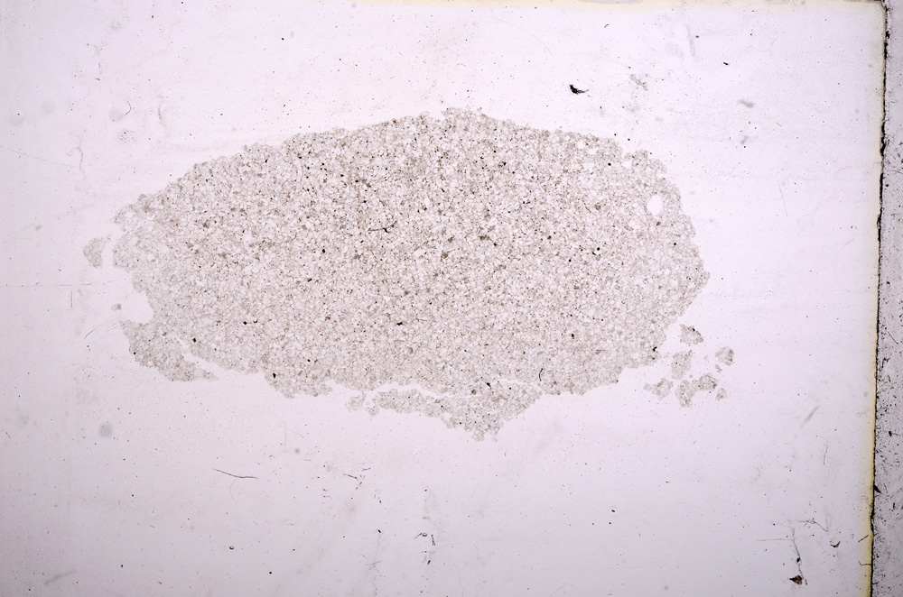 Plane Polarized, E11567