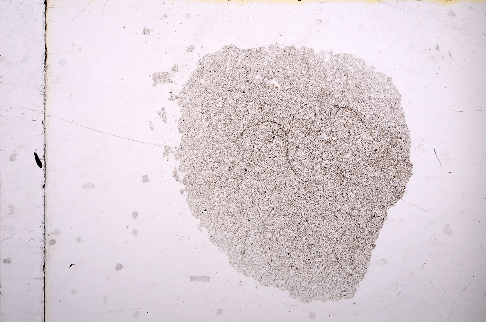 Plane Polarized, E11568