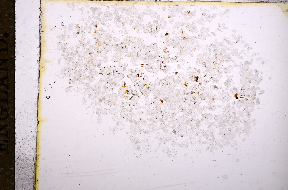 Plane Polarized, E11577