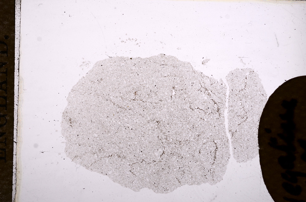 Plane Polarized, E11580