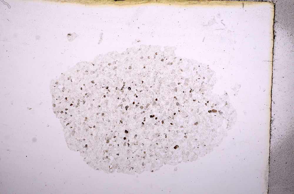 Plane Polarized, E11585
