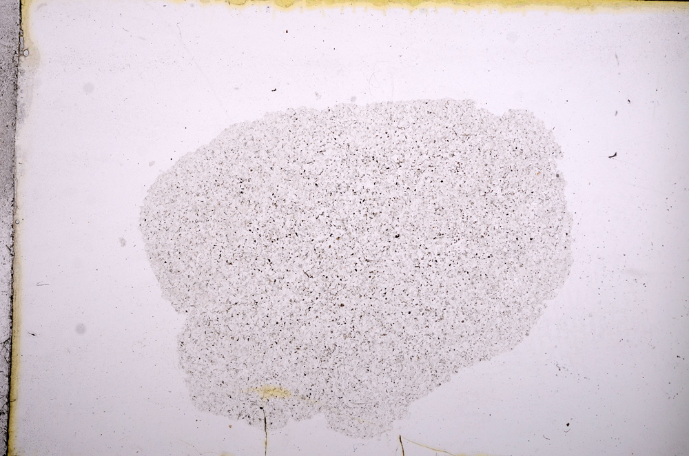 Plane Polarized, E11591