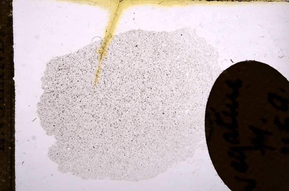 Plane Polarized, E11594