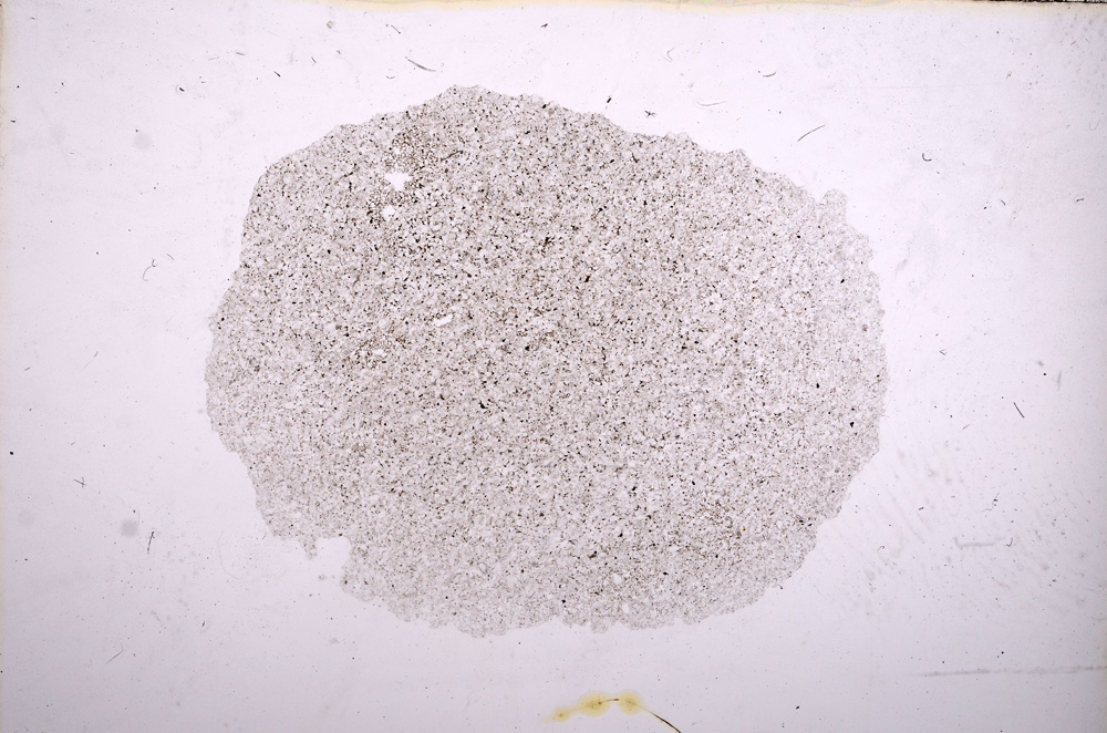 Plane Polarized, E11595