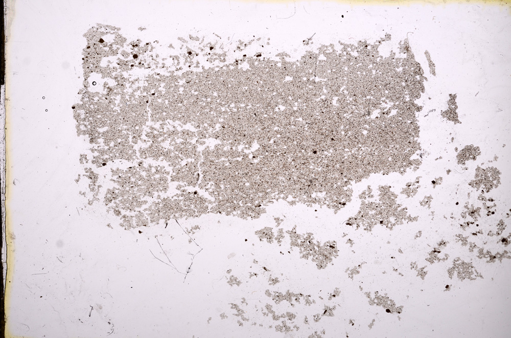 Plane Polarized, E11597