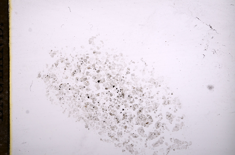 Plane Polarized, E11609