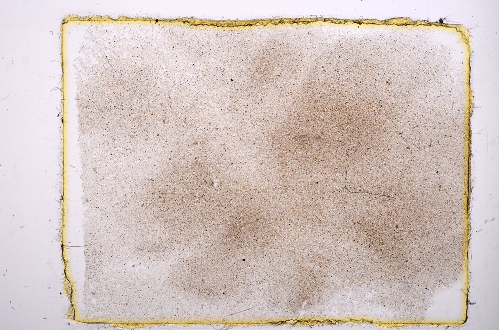 Plane Polarized, E11616