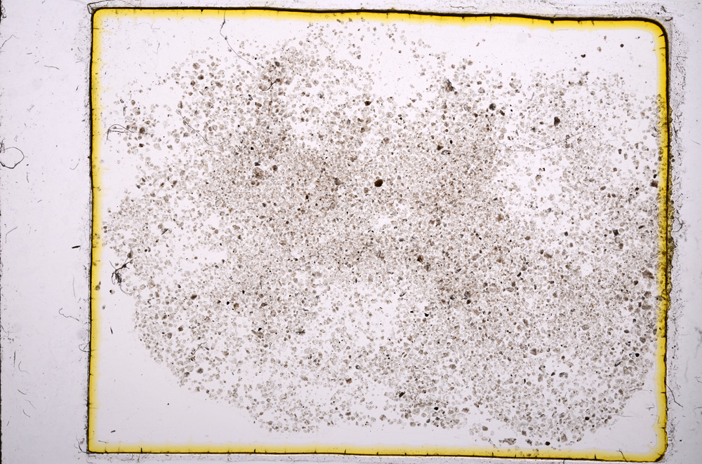 Plane Polarized, E11621