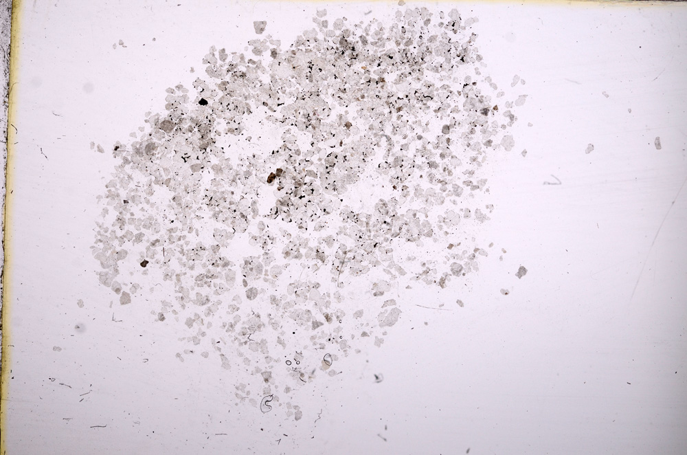 Plane Polarized, E11625