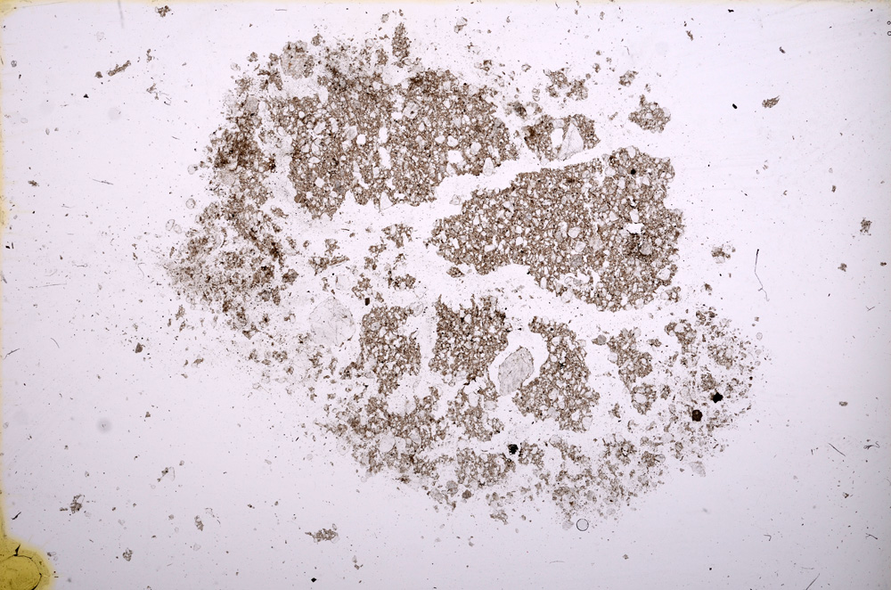 Plane Polarized, E11628