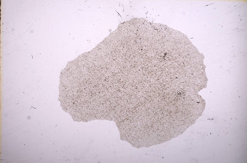 Plane Polarized, E11632