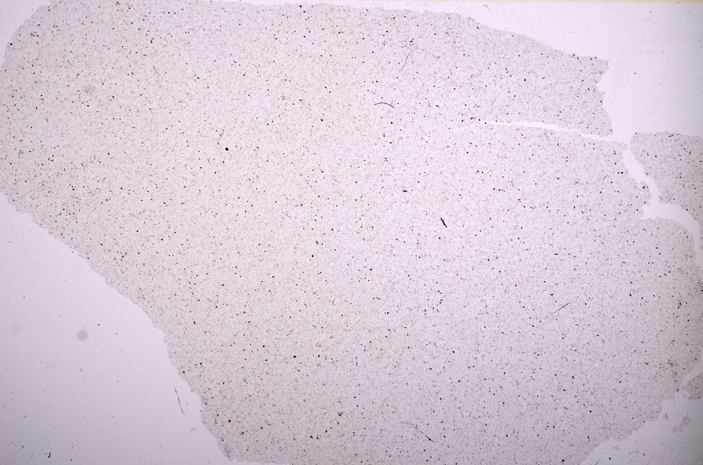 Plane Polarized, E11632/A