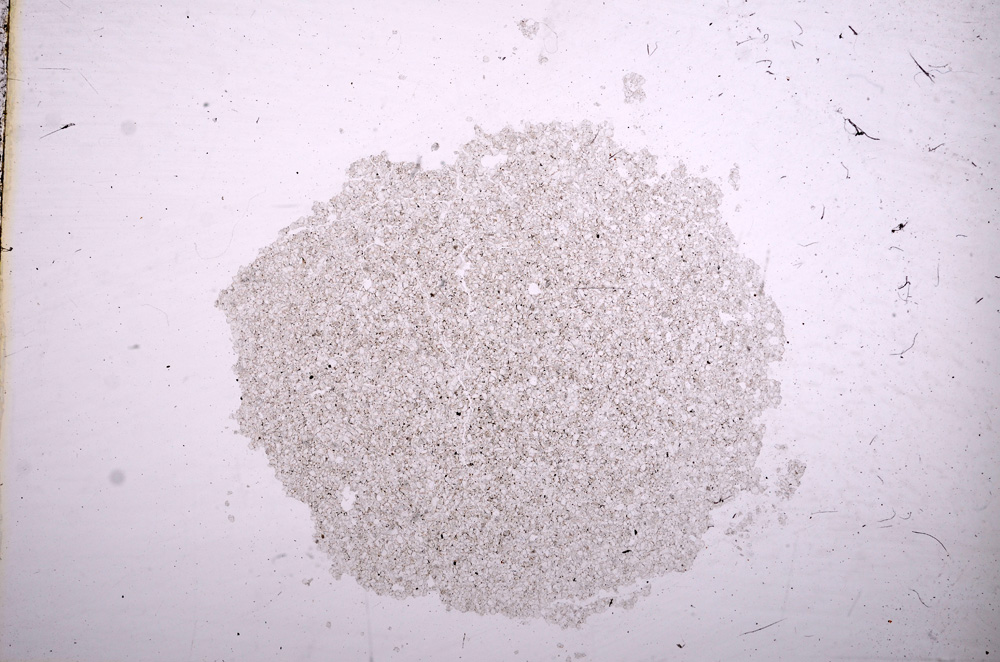 Plane Polarized, E11641