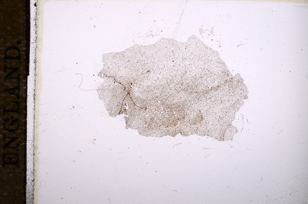 Plane Polarized, E11645