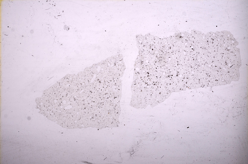 Plane Polarized, E11674