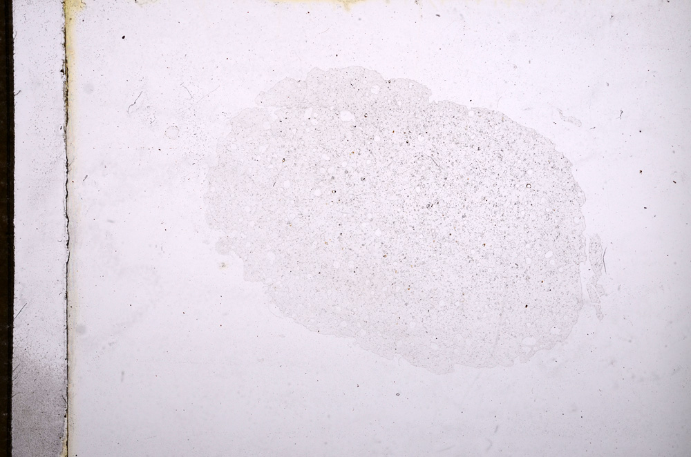 Plane Polarized, E11676