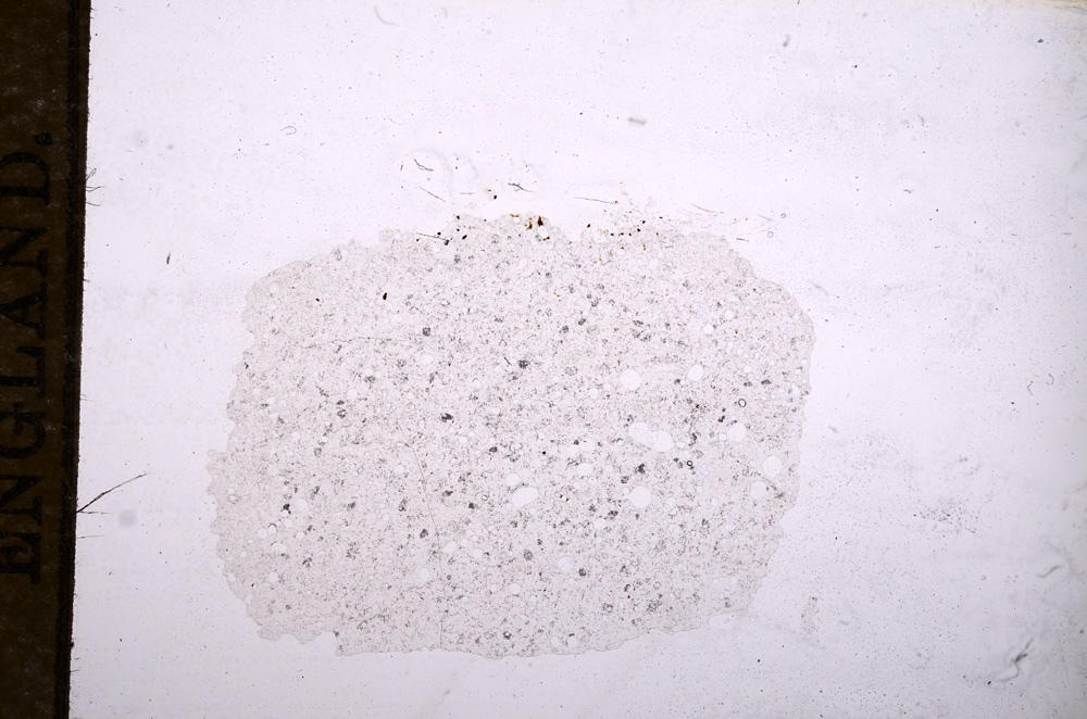 Plane Polarized, E11679