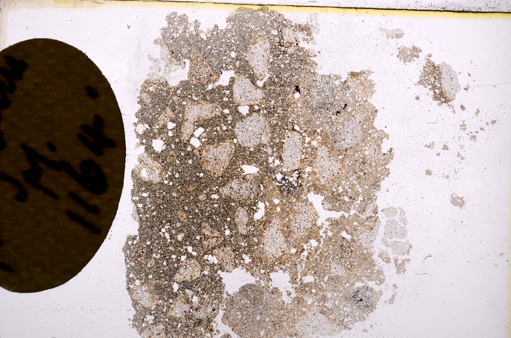 Plane Polarized, E11703