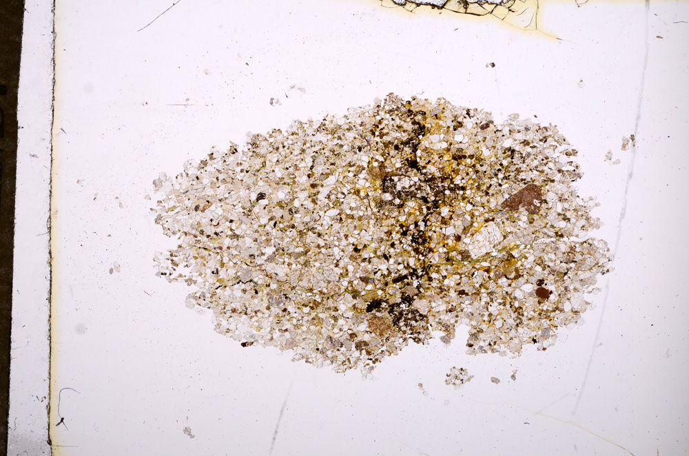 Plane Polarized, E11725