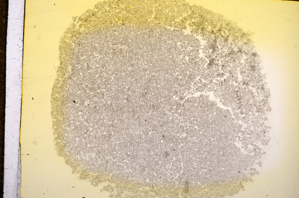 Plane Polarized, E11736