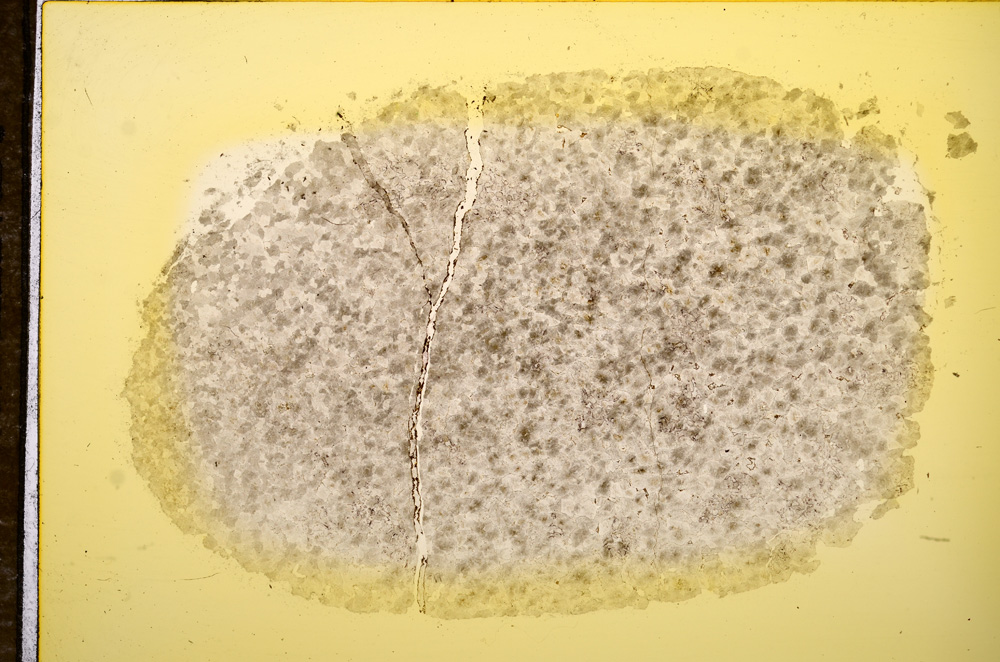 Plane Polarized, E11743