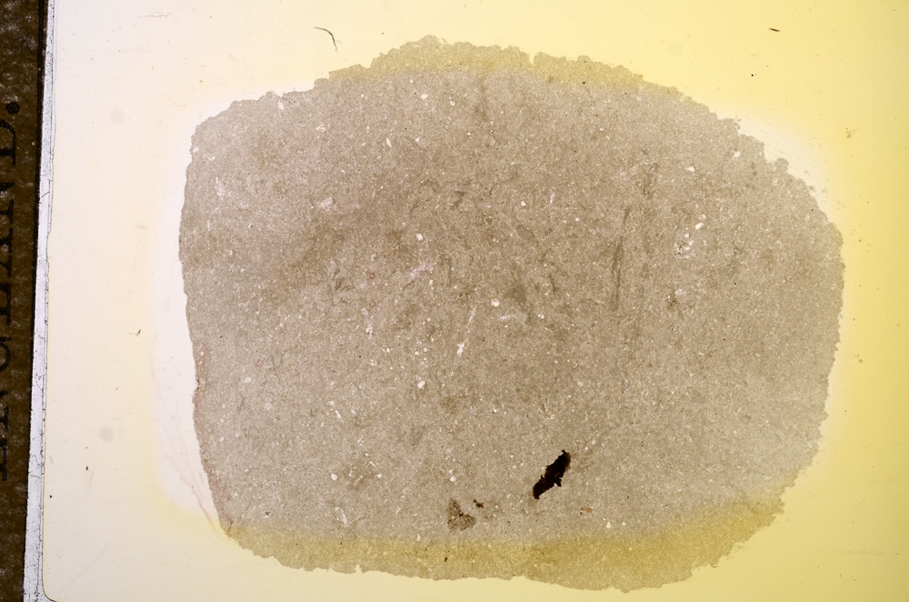 Plane Polarized, E11746