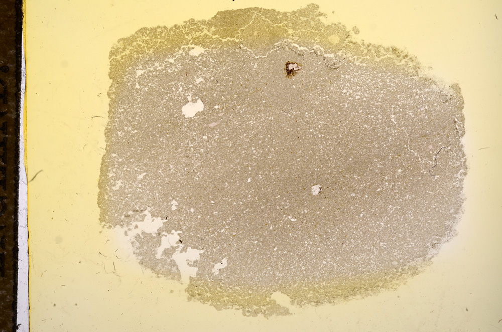 Plane Polarized, E11749