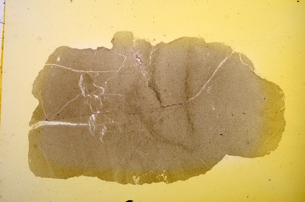 Plane Polarized, E11751