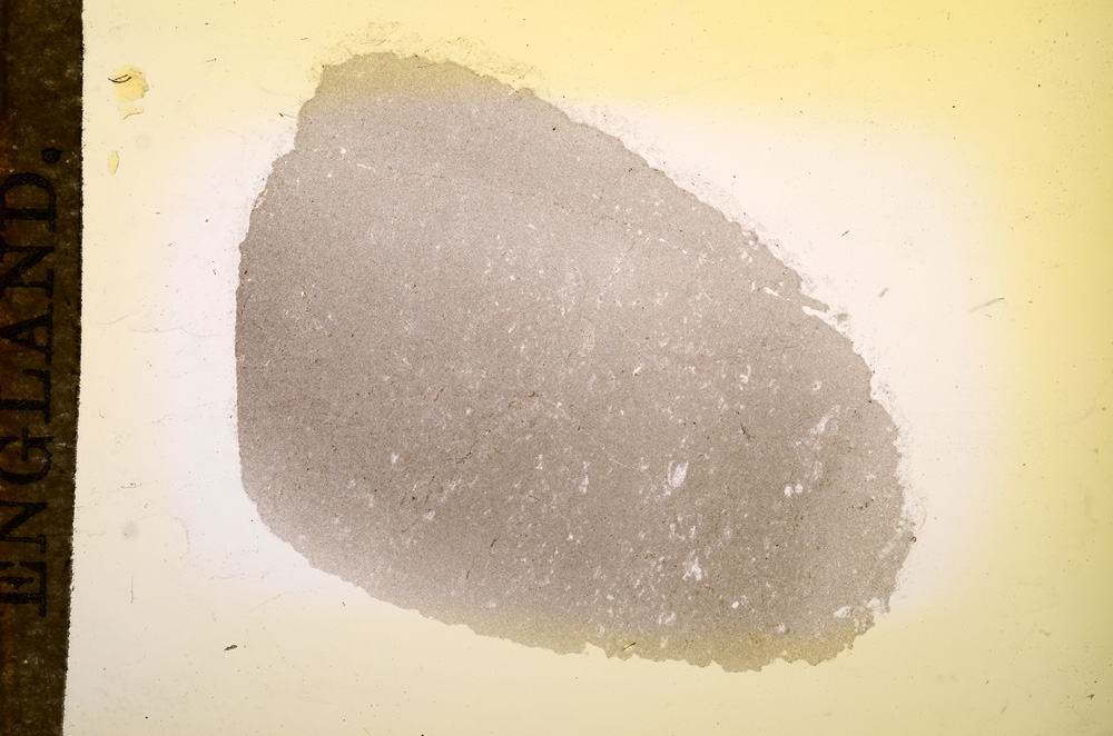 Plane Polarized, E11752