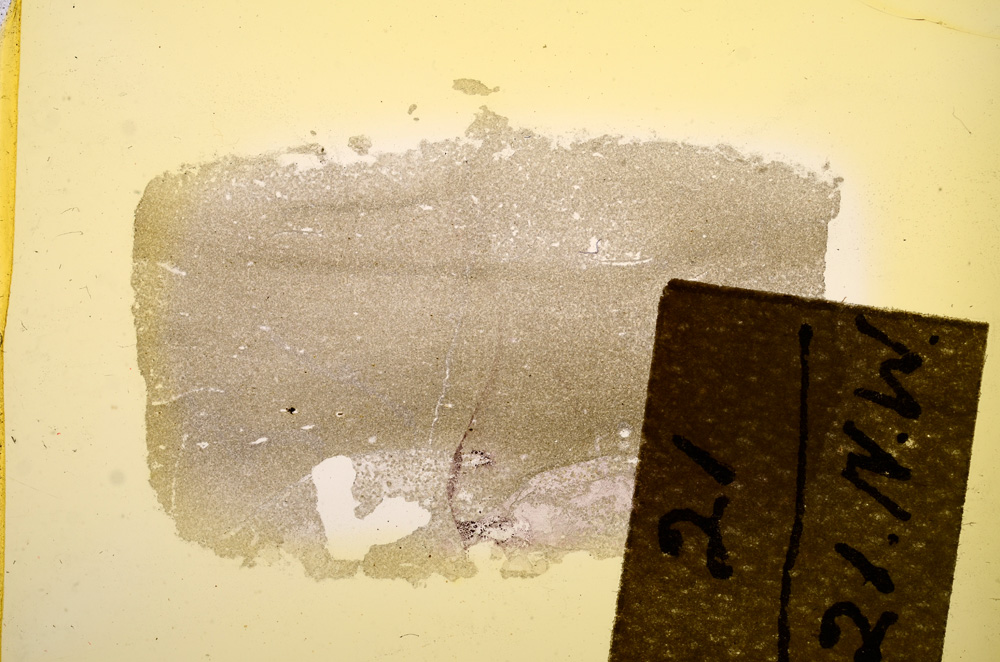 Plane Polarized, E11753