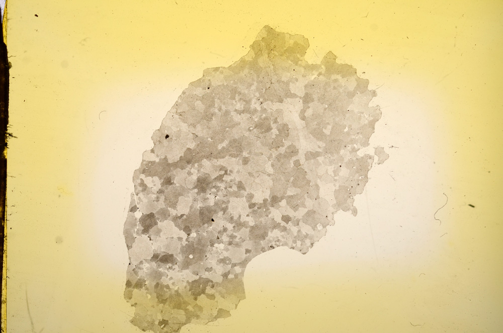 Plane Polarized, E11757