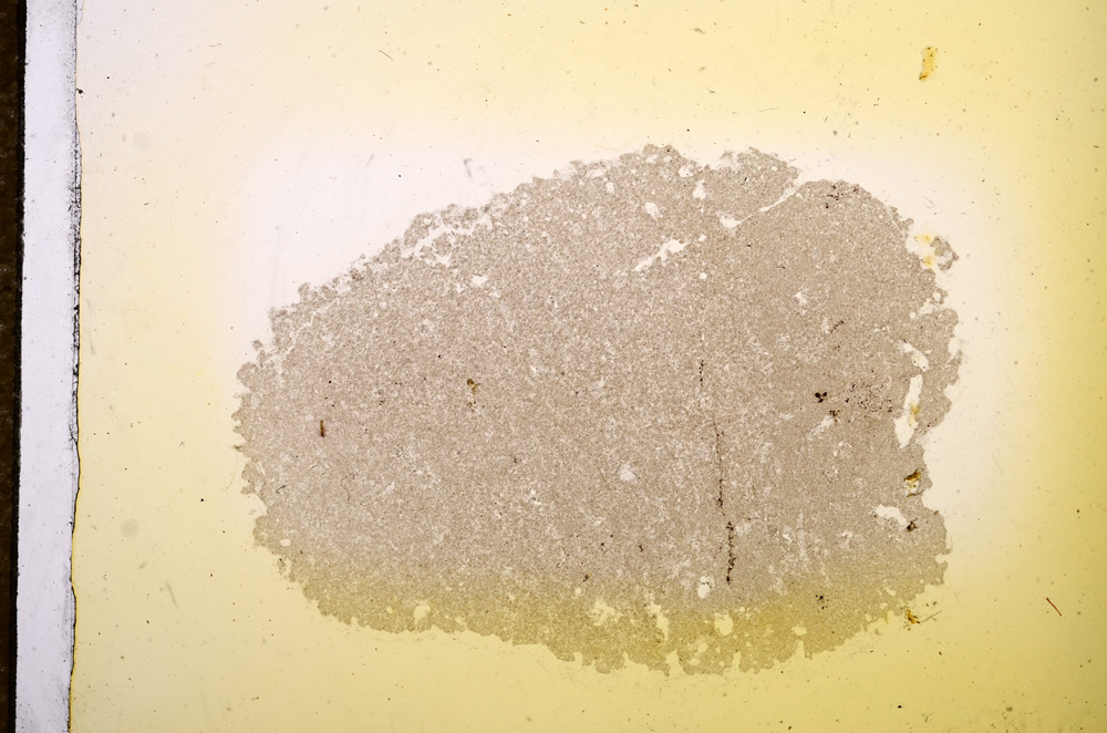 Plane Polarized, E11761