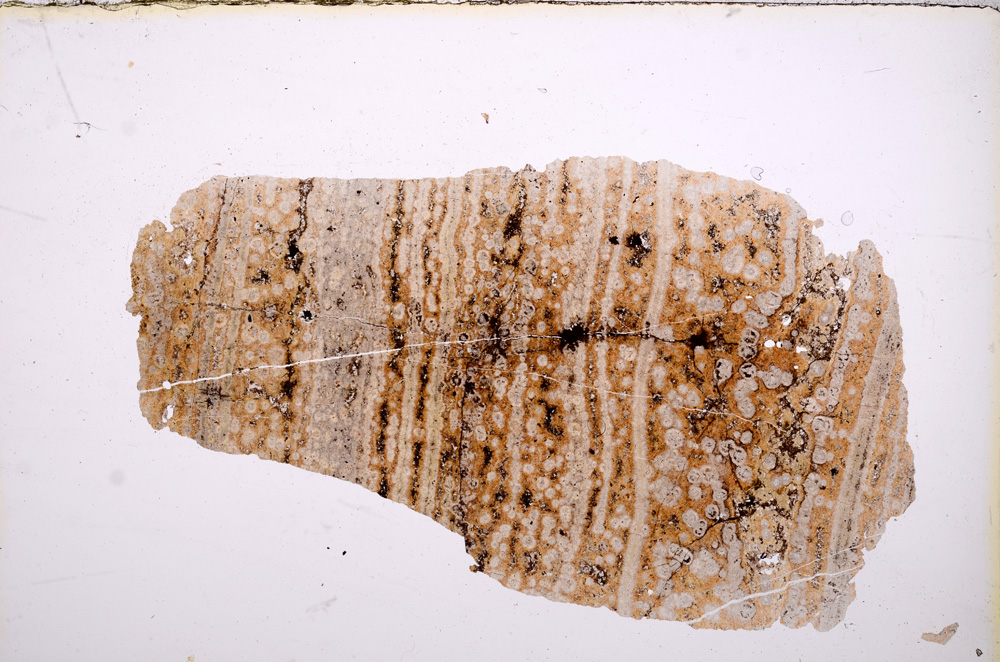 Plane Polarized, E11770