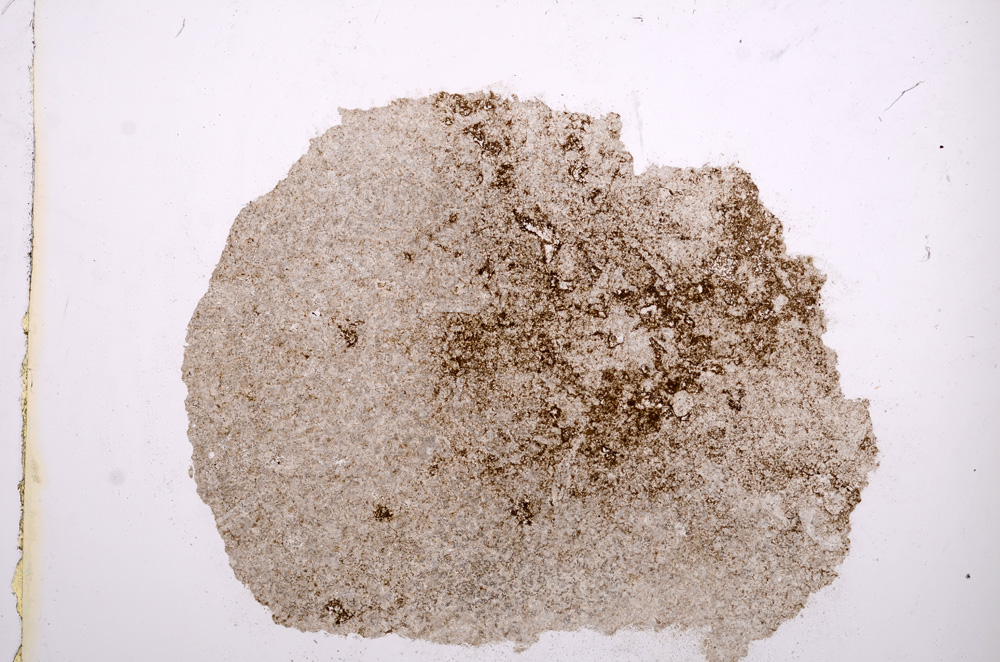 Plane Polarized, E11785