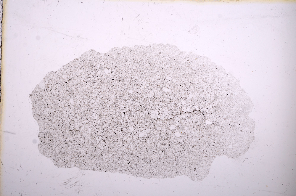 Plane Polarized, E11793