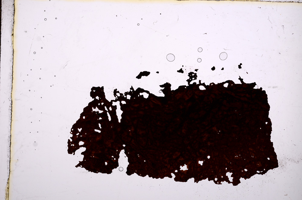 Plane Polarized, E11834