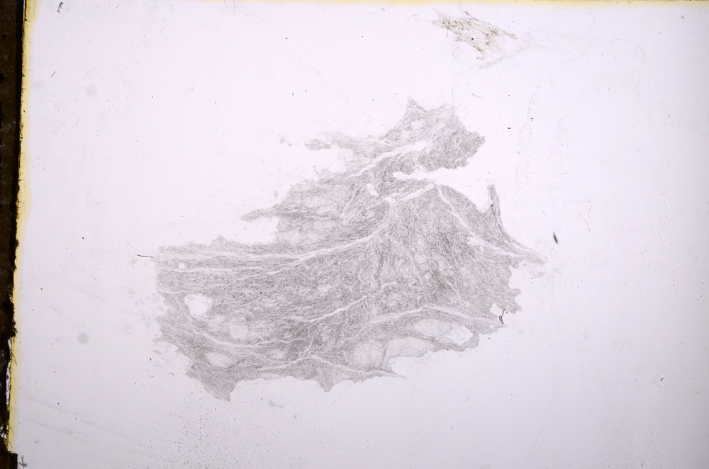 Plane Polarized, E11859