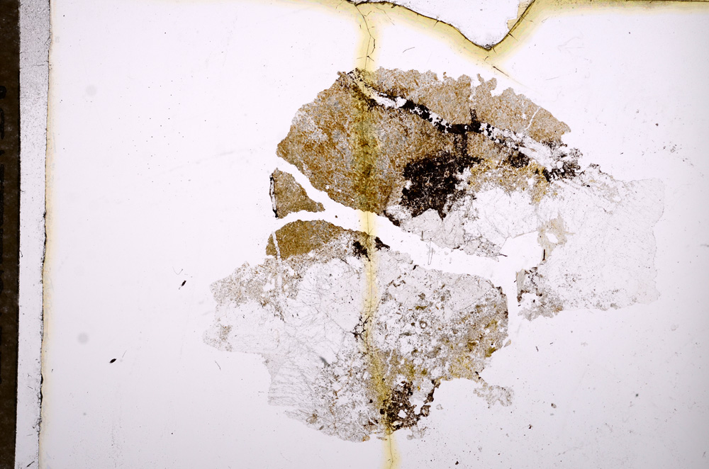 Plane Polarized, E11974