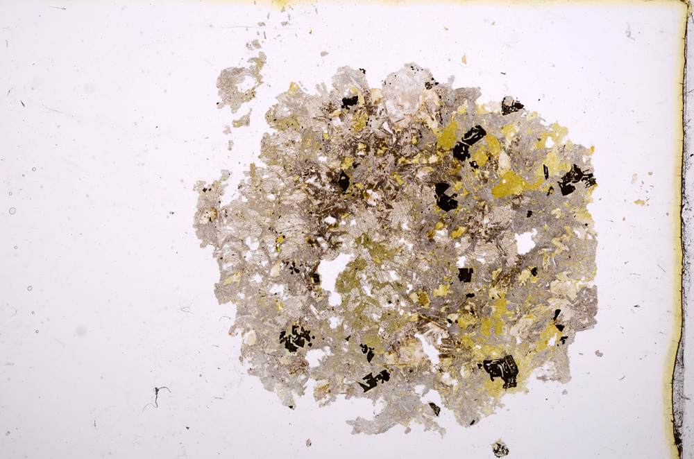 Plane Polarized, E11979