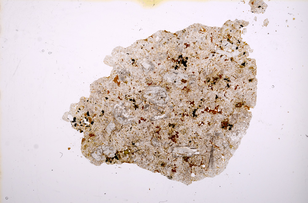 Plane Polarized, E12016