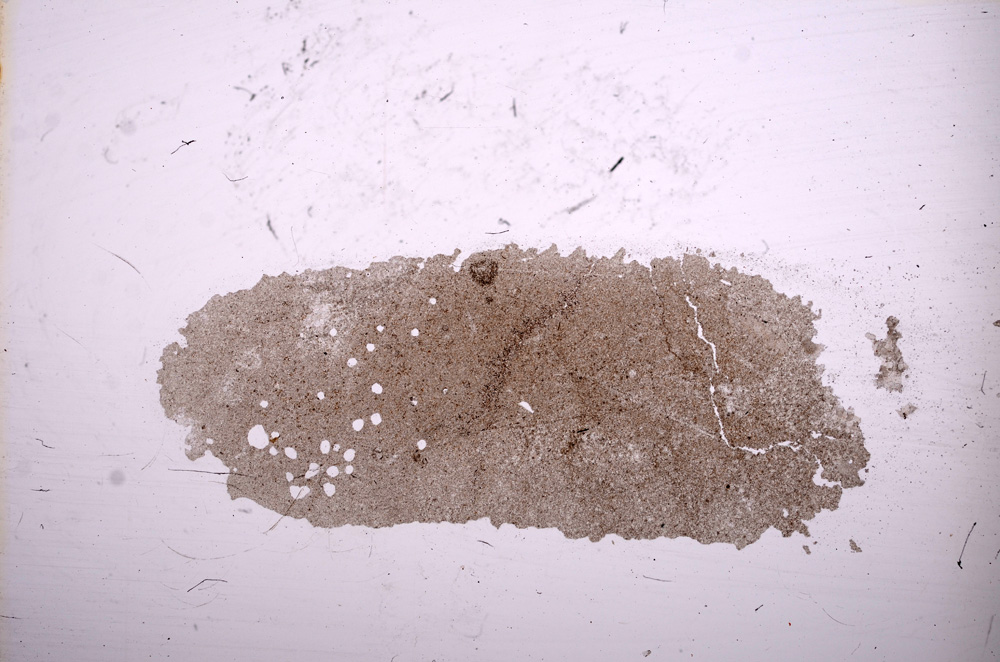 Plane Polarized, E12040