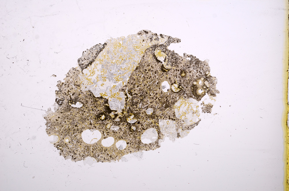 Plane Polarized, E12056