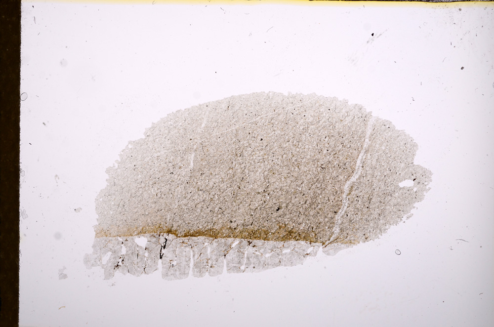 Plane Polarized, E12137